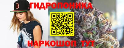 ПСИЛОЦИБИНОВЫЕ ГРИБЫ Новокубанск