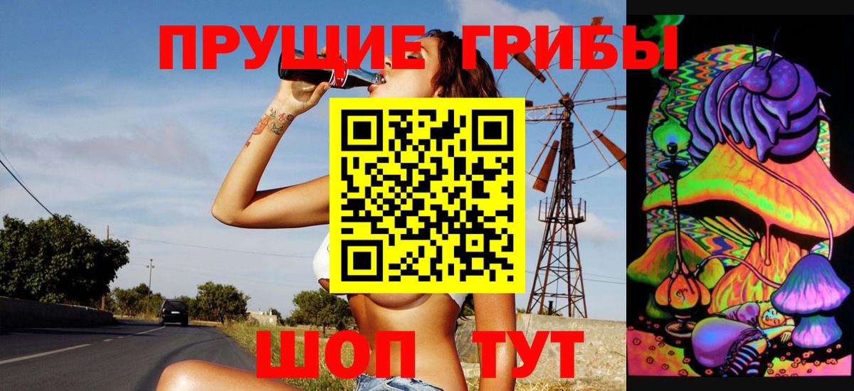Псилоцибиновые грибы GOLDEN TEACHER Семёнов